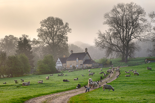 A misty Cotswold spring morning, Saintbury near Chipping Campden, Gloucestershire, England.