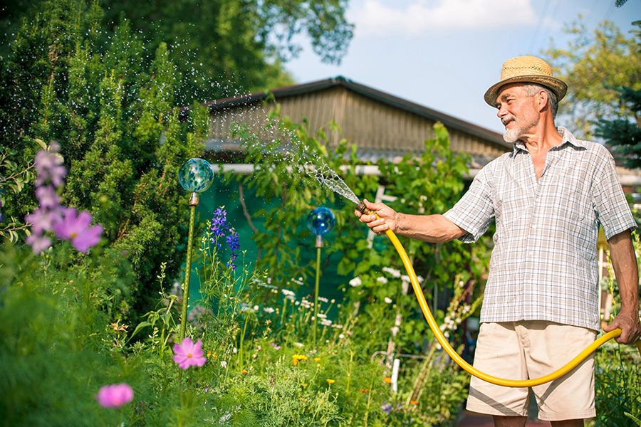 Ein Mann gießt mit einem Wasserschlauch den Garten.