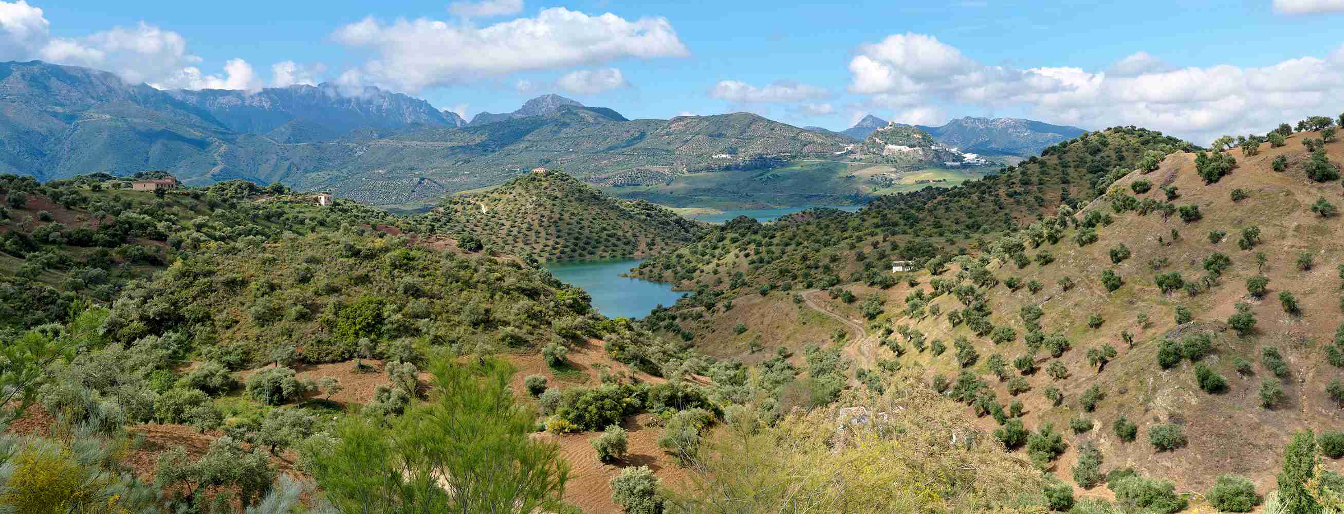 Das Bild zeigt eine Landschaft in Zentralspanien.