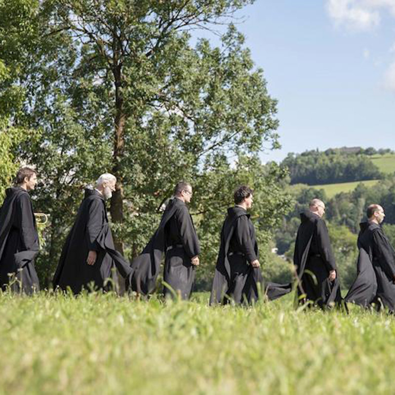 Barmherzige_Br_der_unterwegs-Barmherzige_Br_der_unterwegs-barmerhzige-brueder-unterwegs- / wolfstudios Eine Gruppe Barmherziger Brüder beim Spaziergang über eine Wiese.